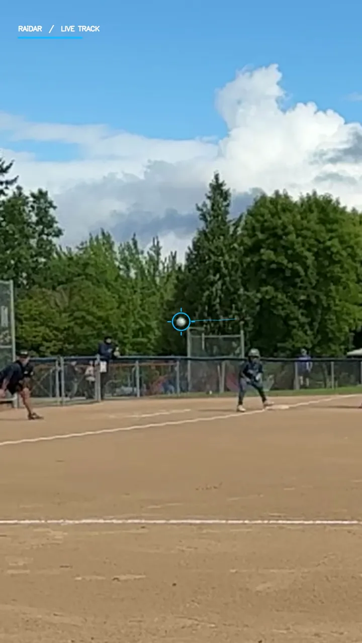 Baseball arriving at the plate at the end of the analyzed flight